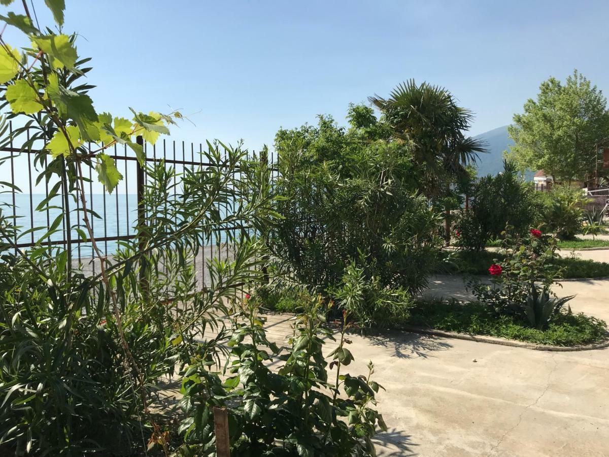 Davel Hotel Gagra Ngoại thất bức ảnh